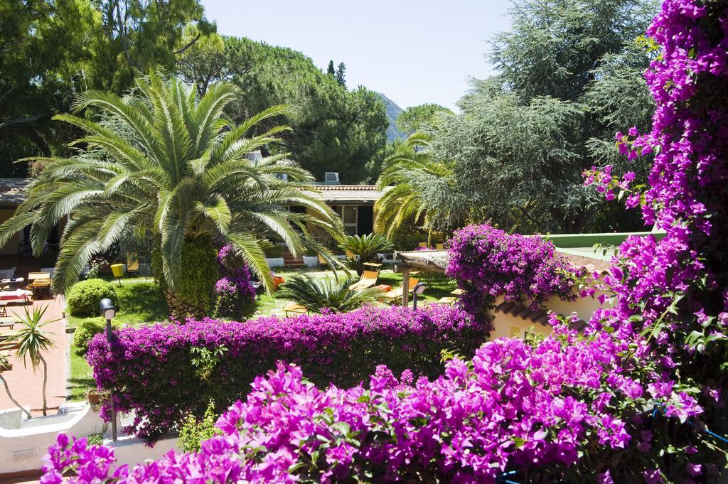 Forio di Ischia Villa Angela Hotel & Spa מראה חיצוני תמונה