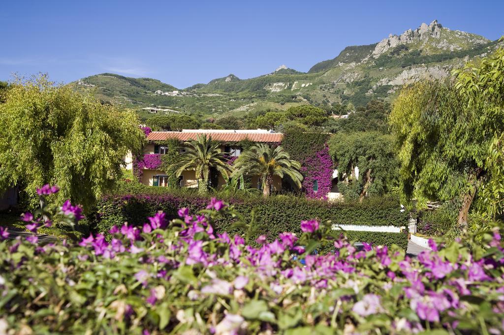 Forio di Ischia Villa Angela Hotel & Spa מראה חיצוני תמונה
