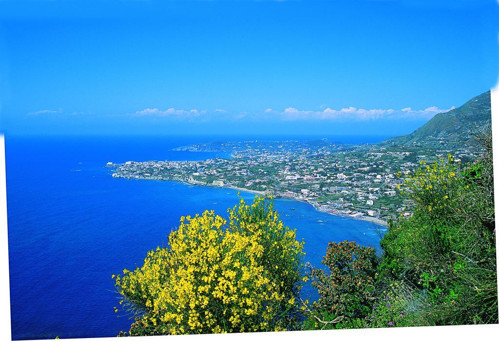 Forio di Ischia Villa Angela Hotel & Spa מראה חיצוני תמונה